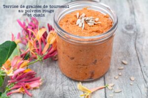 Terrine d'oléagineux trempés