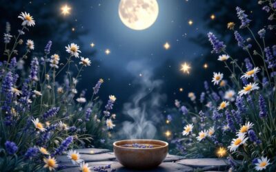 Quelques clés naturelles pour retrouver le sommeil